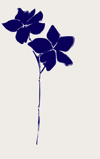 Colombia Gesha La Villa 200g