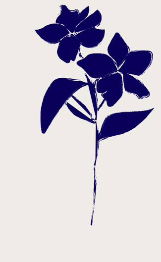 Colombia Chiroso - Wilder Lazo 200g